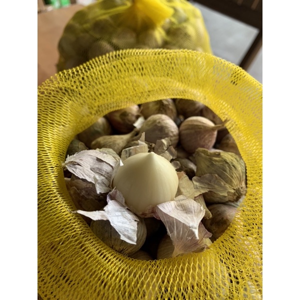 1KG TỎI CÔ ĐƠN NINH THUẬN/ ĐẶC SẢN VĨNH HY