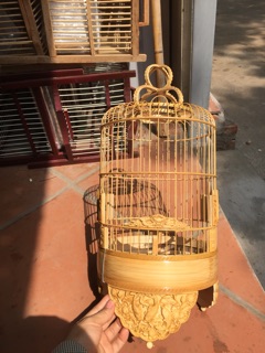 Lồng khuyên đục