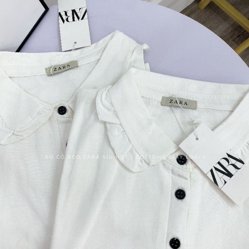 Áo phông cổ đức viền bèo, chất cotton mát mẻ, dáng basic