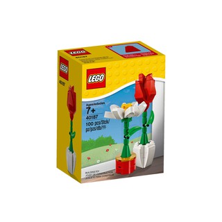 LEGO 40187 Flower Display