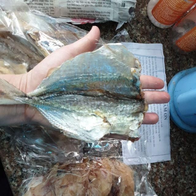 1kg Cá chỉ loại to ngon, dày mình