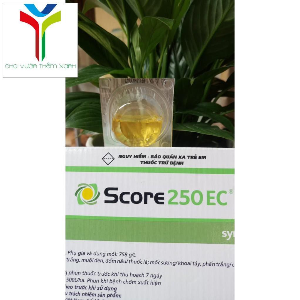 VTNN Score 250EC- Thuốc đặc trị nấm, phấn trắng, mốc sương cho cây trồng NGUYEN TRI