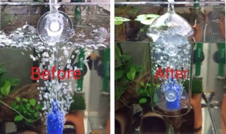 Cốc Sủi Oxy Chống Văng Nước
