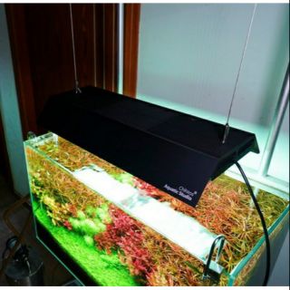 SHADE ROR WRGB II - MIẾNG CHẮN SÁNG ĐÈN CHO ĐÈN CHIHIROS WRGB II )