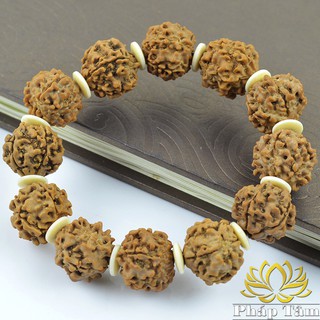 Vòng Tay Hạt Bồ Đề Kim Cang Vàng Cao Cấp Vân Tự Nhiên - Tâm Phong Thủy