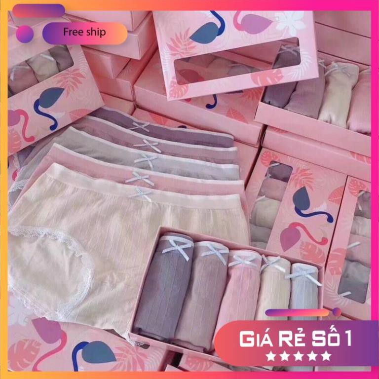 Set 5 Quần Lót Cotton Nữ In Hình Chim Hồng Hạc