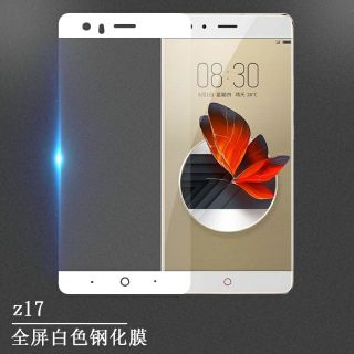 Kính cường lực Nubia Z17