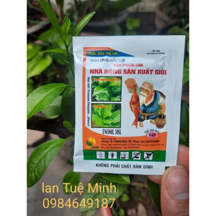 10 gói Chế phẩm bám dính Ngư Ông Đắc Lợi làm tăng hiệu quả của thuốc trừ sâu, trừ bệnh, trừ cỏ.