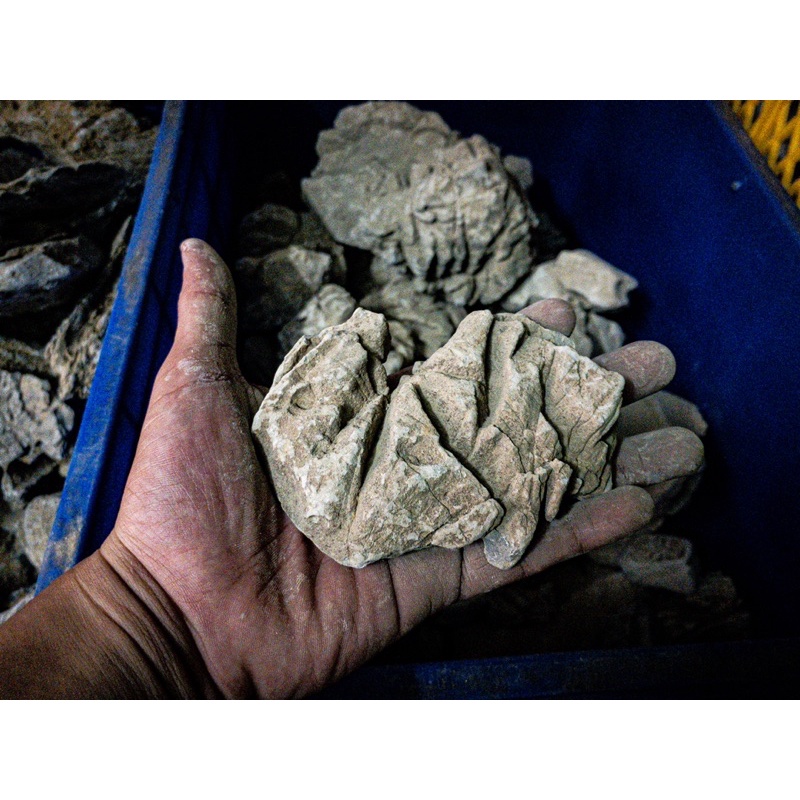 Đá Da Voi  | Trang trí Thủy Sinh, Biotope, Iwagumi,....|