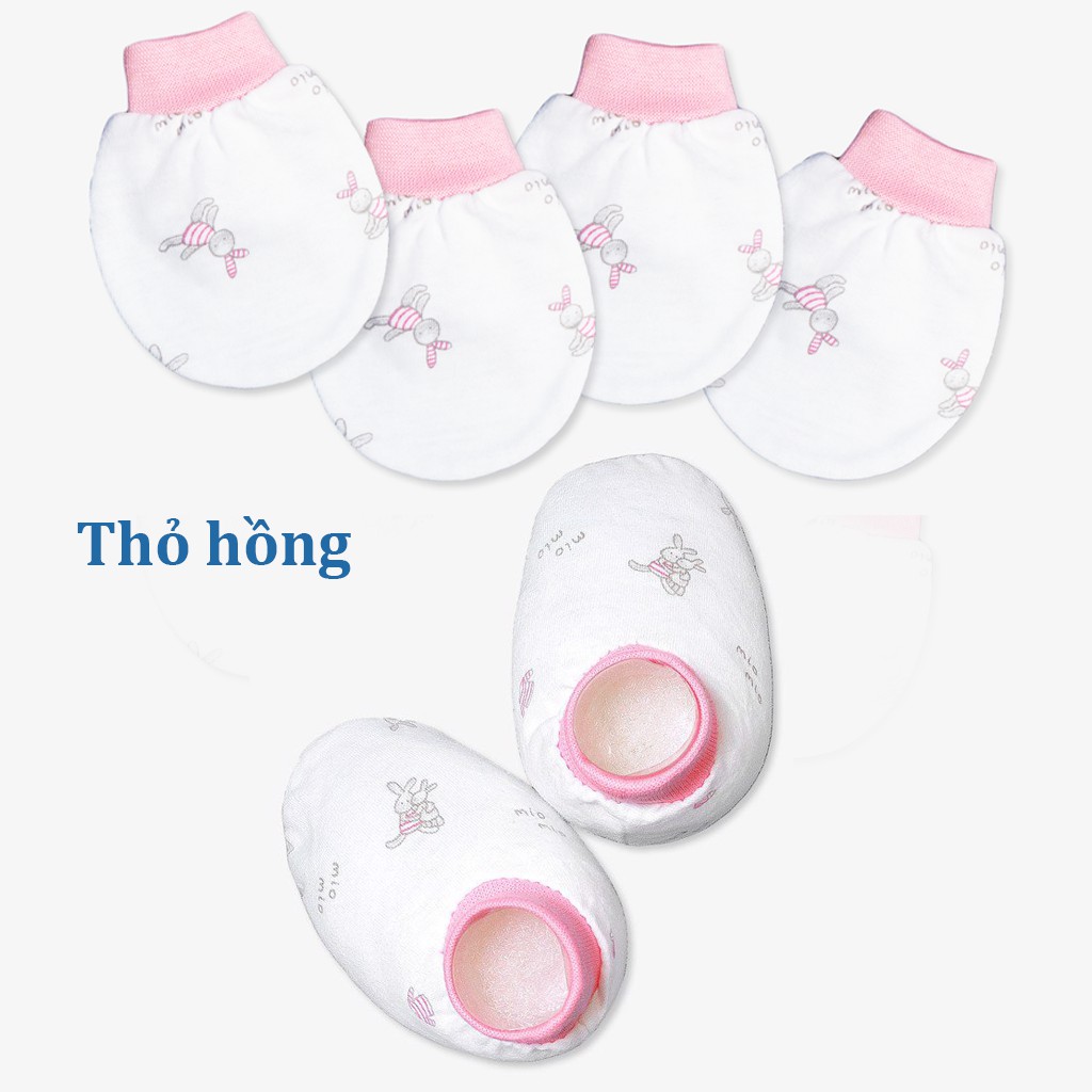 Bao tay / Bao chân sơ sinh Miomio bo chun 100% cotton