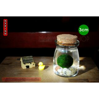 Marimo size 3cm
