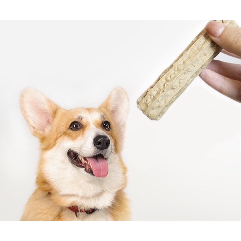 Xương gặm Masti sạch răng - bổ sung canxi - cải thiện mùi hôi miệng 🐶🦴