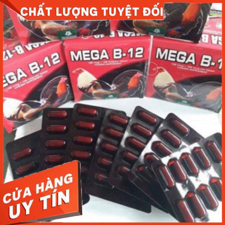 Thuốc nuôi MEGA-B12 cho gà đá BỔ MÁU TĂNG BO