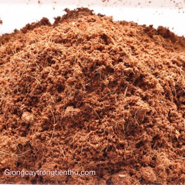 [SIEURE] GIÁ THỂ MÙN XƠ DỪA(DỪA NGHIỀN) 1kg/túi hàng đẹp, phân phối chuyên nghiệp.