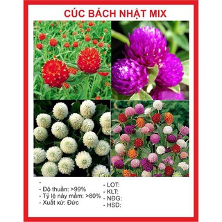 Combo hạt giống 890k