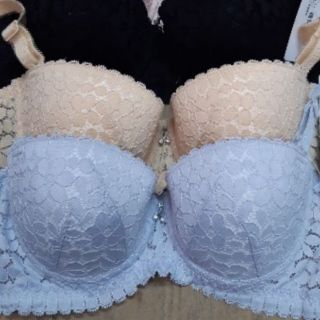áo lót big size cúp ngang không đệm ren lá cao cấp, áo ngực