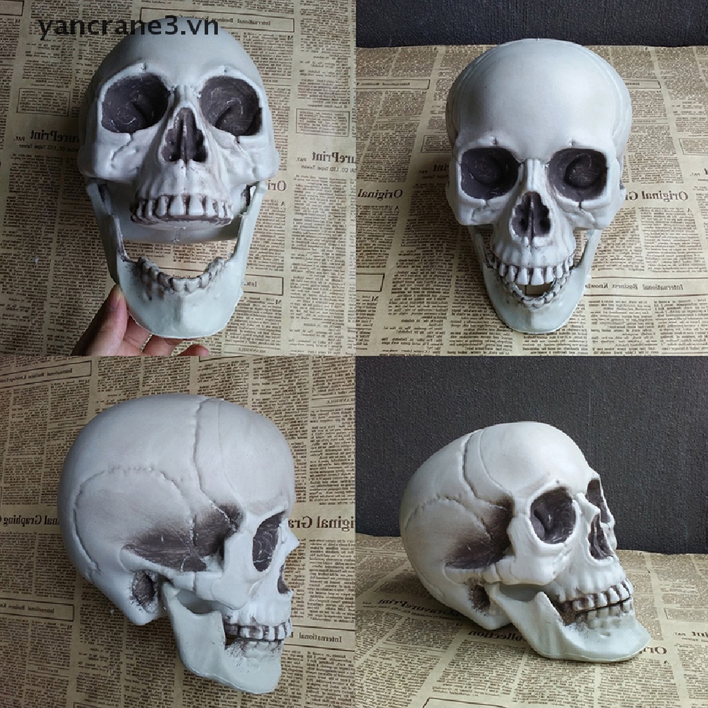 Đồ trang trí Bộ Xương Đầu Lâu Kinh Dị Trang Trí Halloween yancrane3.vn} 3