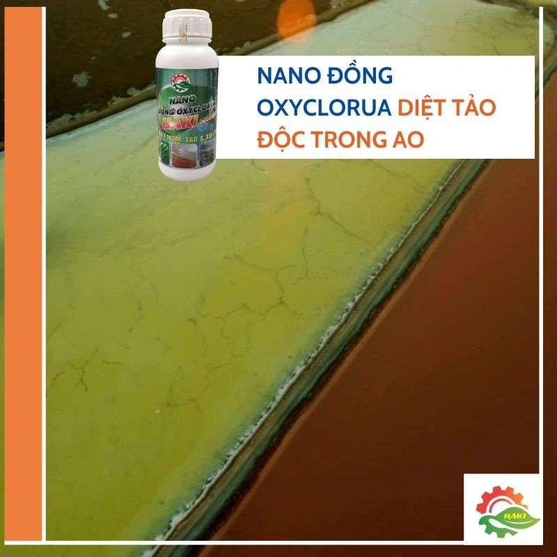 Nano đồng diệt NẤM RÊU TẢO , trùng mỏ neo, ký sinh trùng, xử lý nước hiệu quả nồng độ 15000ppm chai  500ml