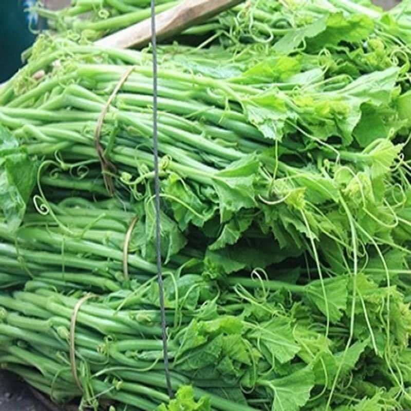 20gr hạt giống bí siêu ngọn mập f1 chất lượng cao 😍🧡Freeship ❤️💥chất lượng cao