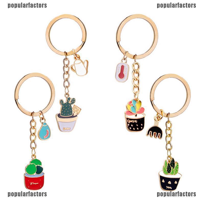 Cây Xương Rồng Tráng Men Sáng Tạo