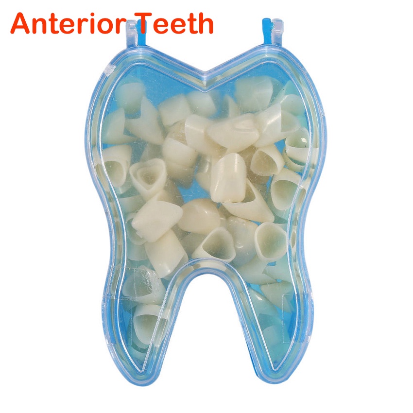 [Hàng mới về] Bộ 50 cái răng giả bằng resin dùng cho nha khoa