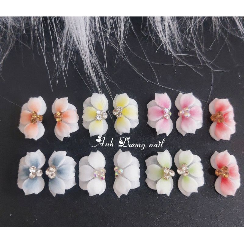 Hoa bột nail hoa tay- hoa nửa cánh nhọn