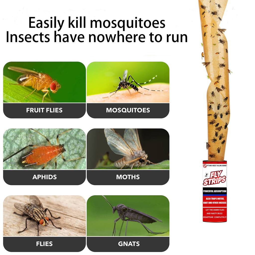 FUN~Fly Paper Strip Non-toxic Roll Tape SUB Sale Home Supplies Creative Insect Bug Mosquitos Catcher Strong Glue Flying