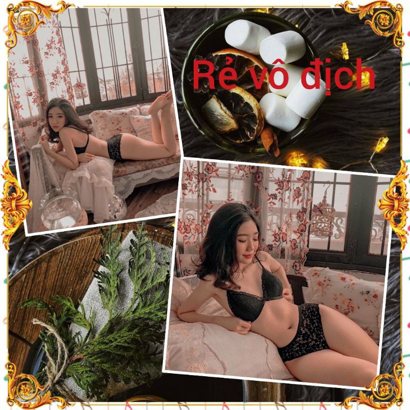 Bộ đồ lót có mút không gọng quần boxers