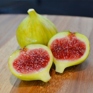 Sung Mỹ cẩm thạch (Panache)
