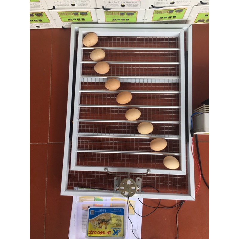 Bộ Máy Ấp Trứng Cabon Trường Sa VN- 2023 + Khay đảo lăn 60 trứng cao cấp