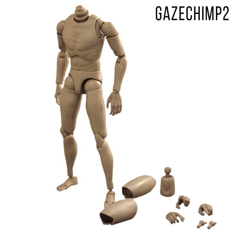 Mô Hình Cơ Thể Người Nam 1 / 6 Gazechimp2 Ttm-18 / 19