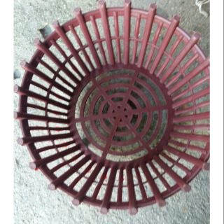 Chậu trồng lan 20cm x10cm có lan phụ giá tốt