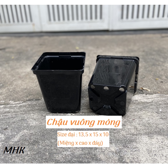 Chậu vuông nhựa mỏng size Đại (13.5x15x10) cm !