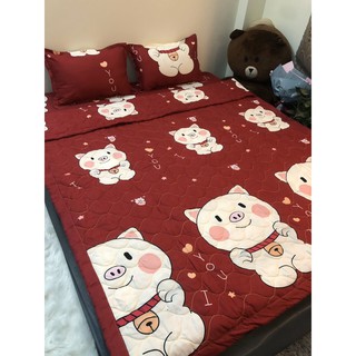 Bộ ga gối 3 món - drap giường cotton poly mẫu siêu đẹp