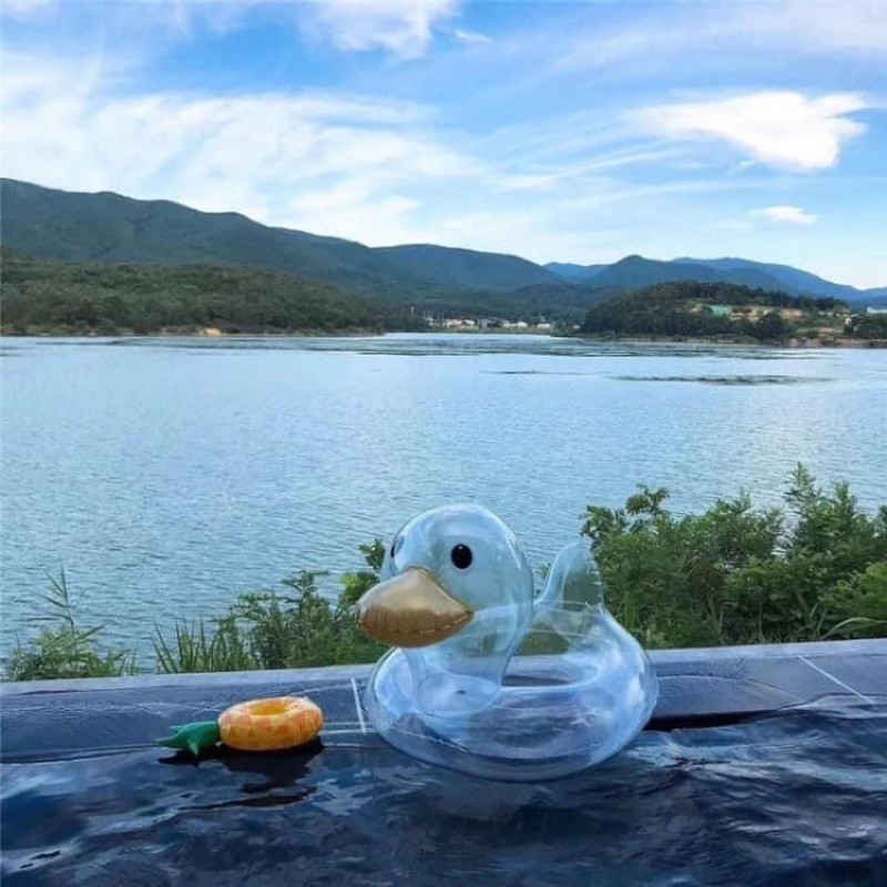 Phao bơi vịt trong suốt có lót
