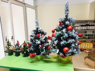 Cây thông mini có tán 30cm, 45cm, 60cm [Ảnh Thật]