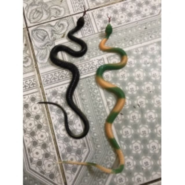 Rắn giả dài 50cm
