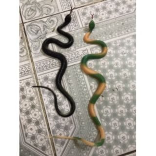 Rắn giả dài 50cm