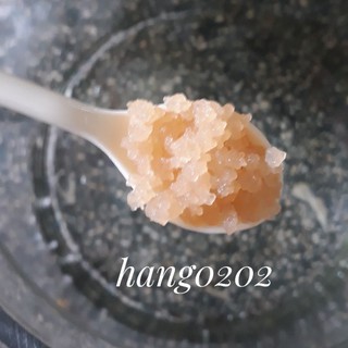 Nấm nước kefir - water kefir
