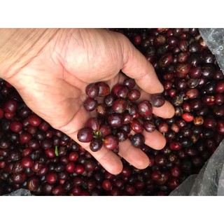 Cà phê rang xay nguyên chất 100%