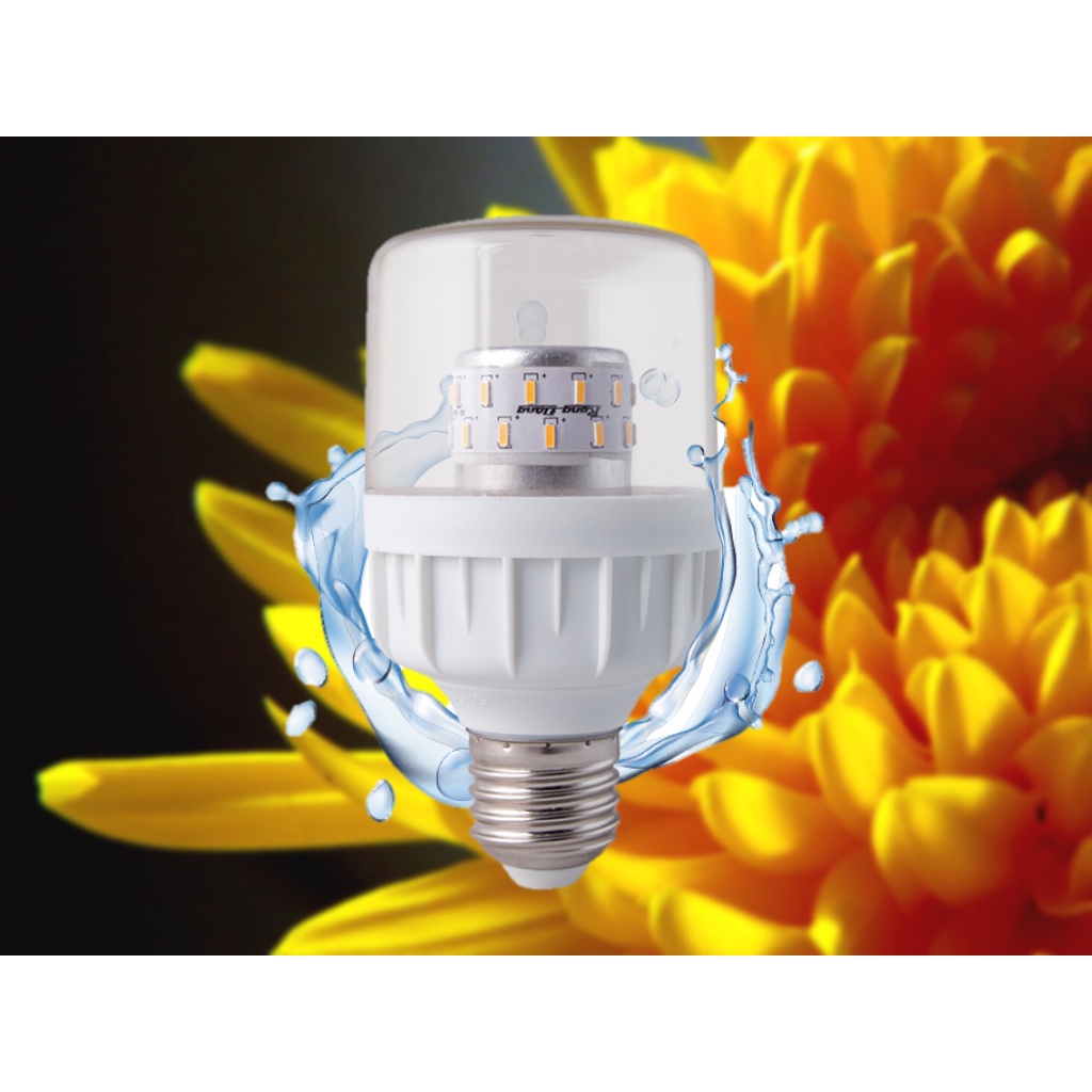 Bóng đèn LED chuyên dụng cho hoa cúc miền bắc TR60.HC/9W