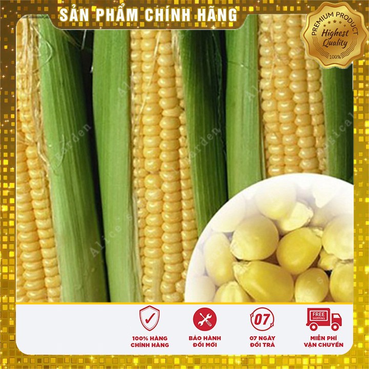 Hạt giống ngô ngọt vàng thơm ngọt-5 gr