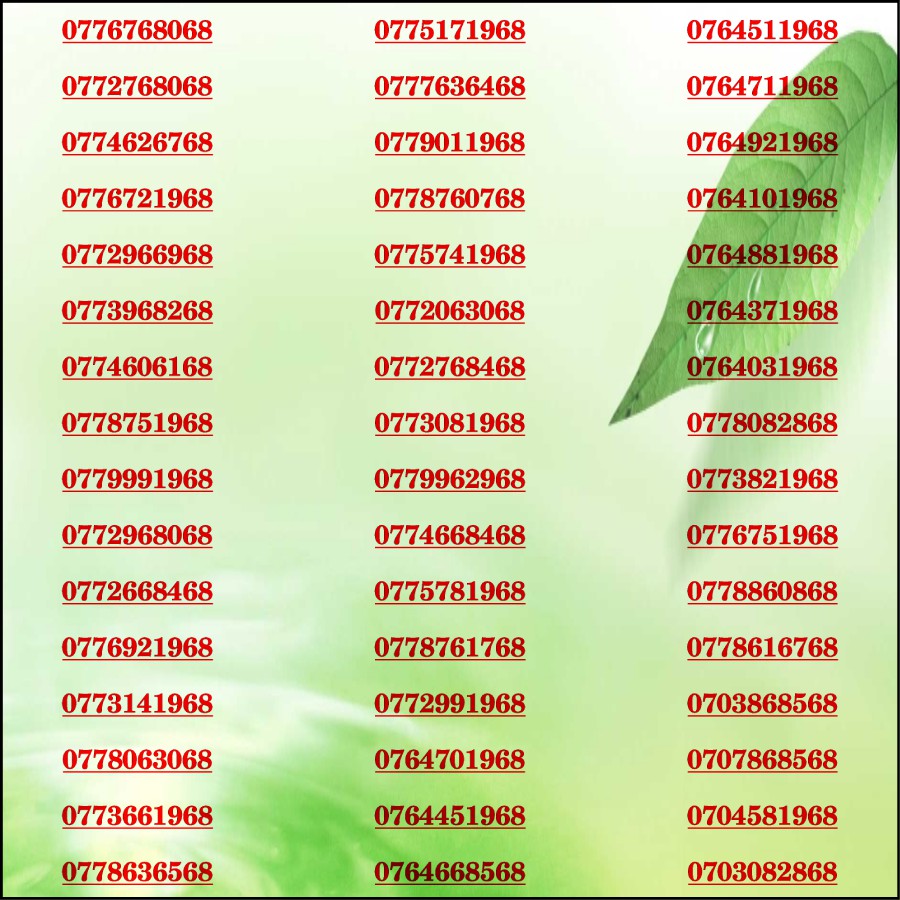 Sim đẹp Lộc Phát 68 Mobi