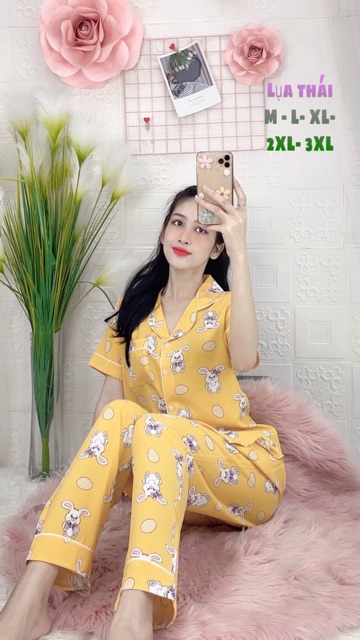 🍃CÓ BIGSIZE ĐỒ BỘ PIJAMA LỤA THÁI HOẠ TIẾT QUẦN DÀI TAY NGẮN 🍃 | BigBuy360 - bigbuy360.vn