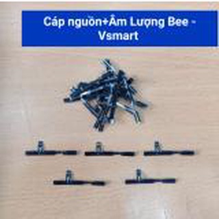 Cáp nguon + Volum V220/ Bee Vsmart