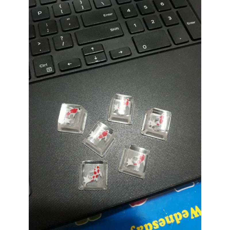 [Mã 267ELSALE hoàn 7% đơn 300K] set 6 keycap cá koi