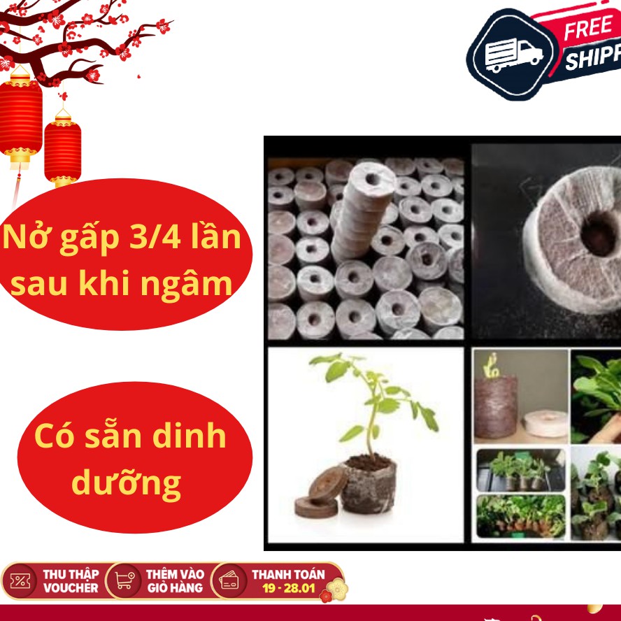 [GIÁ SỐC] Set 20 viên nén ươm hạt sơ dừa dùng cho hạt giống