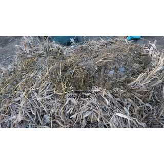 phân bò oai tự nhiên 1kg