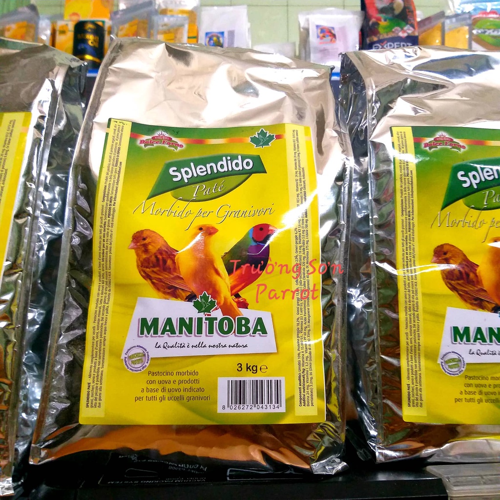 Cám trứng cho chim yến hót, exotic species, lovebirds, neophema, cockatiel, yến phụng...Cám trứng SPLENDIDO manitoba