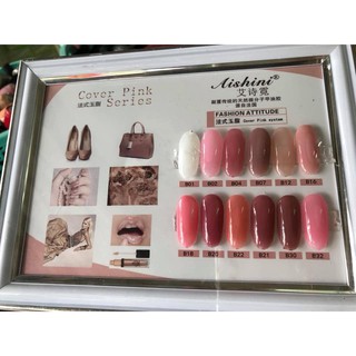 Sơn gel thạch Vinimay